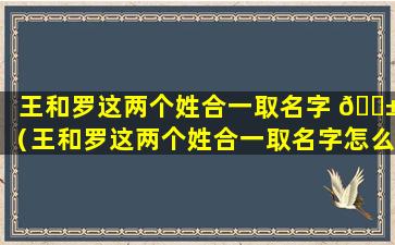 王和罗这两个姓合一取名字 🐱 （王和罗这两个姓合一取名字怎么取）